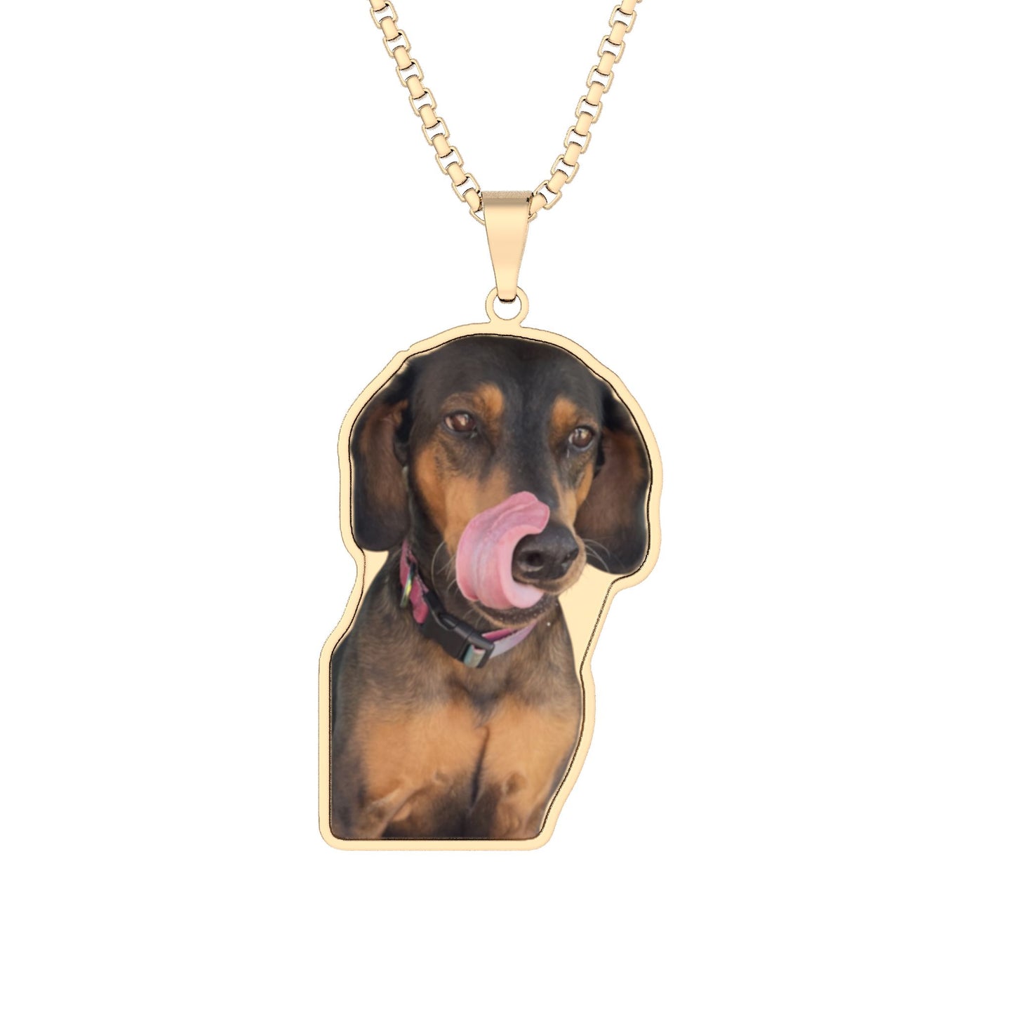 Pendant | Juno's Journey Home Foundation | Juno | Necklace